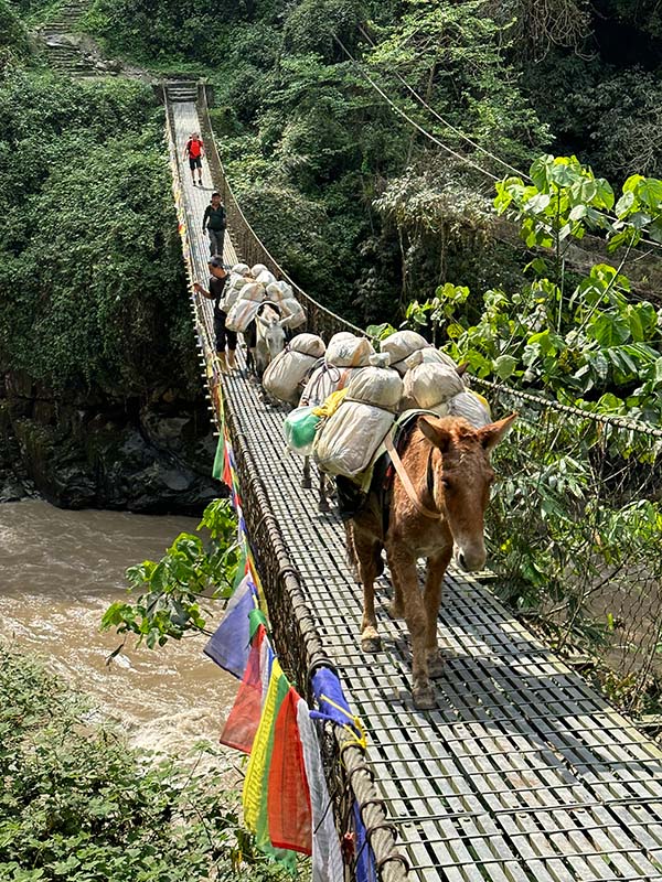 Himalayan Clean-up